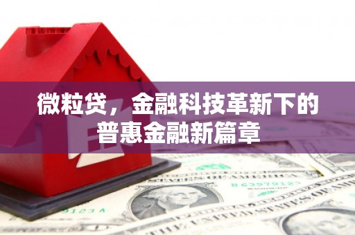 额济纳旗微粒贷，金融科技革新下的普惠金融新篇章
