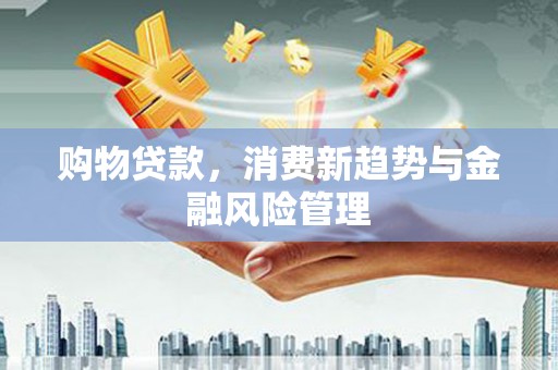 额济纳旗购物贷款，消费新趋势与金融风险管理