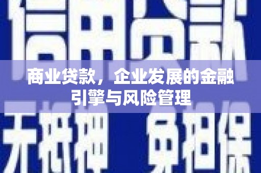 额济纳旗商业贷款，企业发展的金融引擎与风险管理