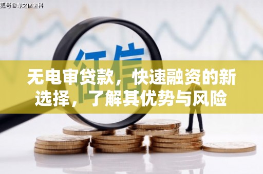 额济纳旗无电审贷款，快速融资的新选择，了解其优势与风险