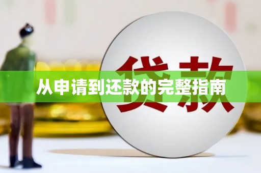 额济纳旗从申请到还款的完整指南