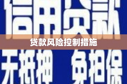 额济纳旗贷款风险控制措施