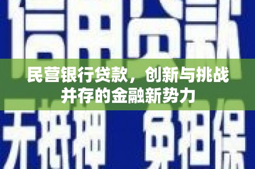 额济纳旗民营银行贷款，创新与挑战并存的金融新势力