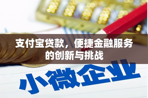额济纳旗支付宝贷款，便捷金融服务的创新与挑战