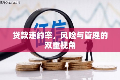 额济纳旗贷款违约率，风险与管理的双重视角