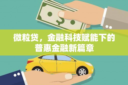 额济纳旗微粒贷，金融科技赋能下的普惠金融新篇章