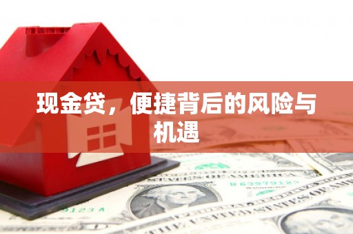 额济纳旗现金贷，便捷背后的风险与机遇
