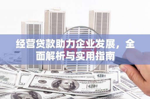 额济纳旗经营贷款助力企业发展，全面解析与实用指南