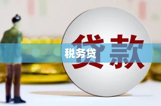 额济纳旗税务贷