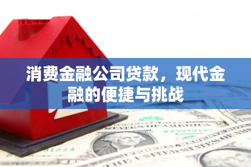 额济纳旗消费金融公司贷款，现代金融的便捷与挑战