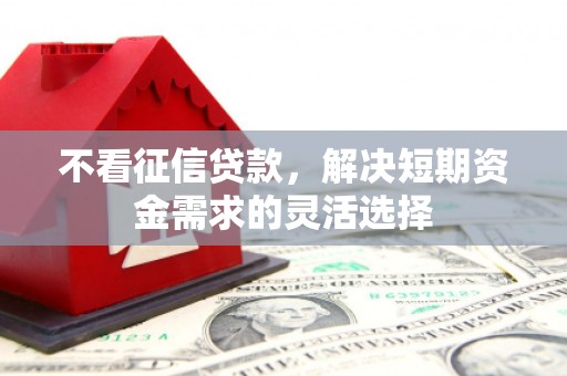额济纳旗不看征信贷款，解决短期资金需求的灵活选择