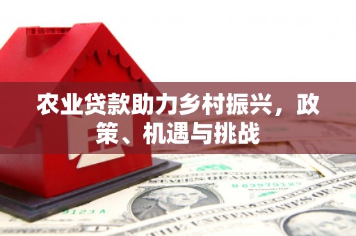 额济纳旗农业贷款助力乡村振兴，政策、机遇与挑战