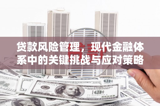 额济纳旗贷款风险管理，现代金融体系中的关键挑战与应对策略