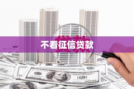 额济纳旗不看征信贷款