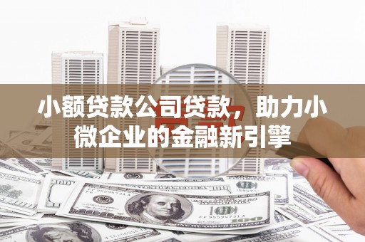 额济纳旗小额贷款公司贷款，助力小微企业的金融新引擎
