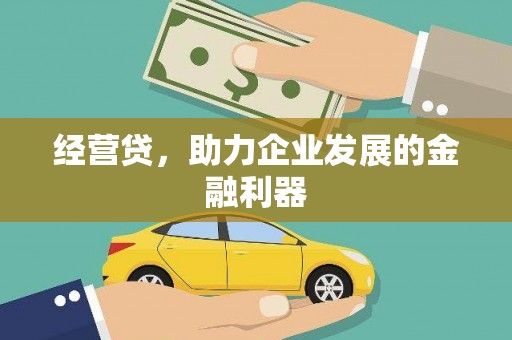 额济纳旗经营贷，助力企业发展的金融利器