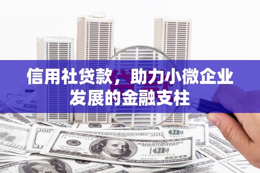 额济纳旗信用社贷款，助力小微企业发展的金融支柱