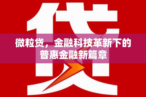 额济纳旗微粒贷，金融科技革新下的普惠金融新篇章