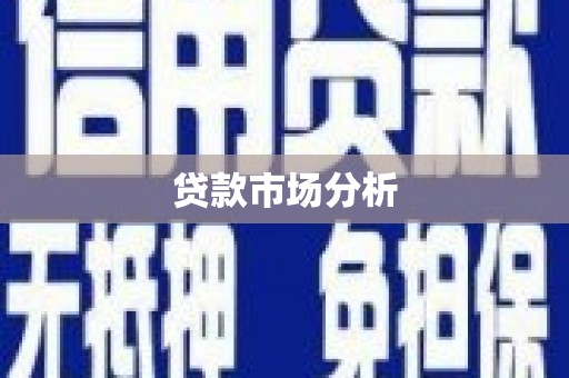 额济纳旗贷款市场分析
