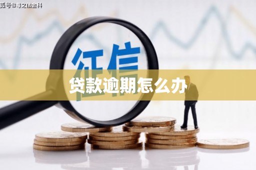 额济纳旗贷款逾期怎么办