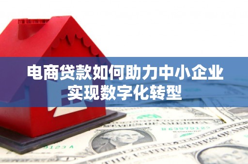 额济纳旗电商贷款如何助力中小企业实现数字化转型