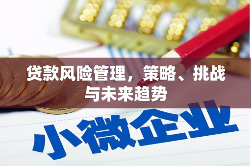 额济纳旗贷款风险管理，策略、挑战与未来趋势