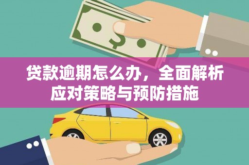 额济纳旗贷款逾期怎么办，全面解析应对策略与预防措施