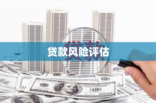 额济纳旗贷款风险评估