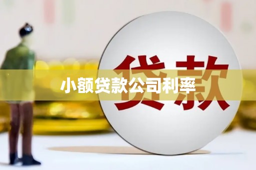 额济纳旗小额贷款公司利率