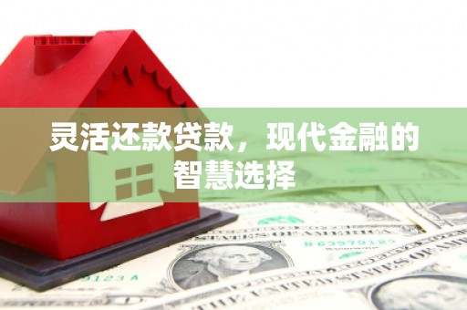 额济纳旗灵活还款贷款，现代金融的智慧选择