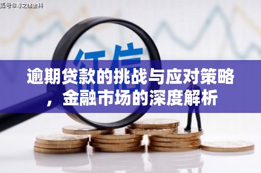 额济纳旗逾期贷款的挑战与应对策略，金融市场的深度解析