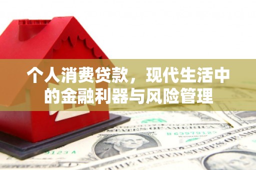 额济纳旗个人消费贷款，现代生活中的金融利器与风险管理