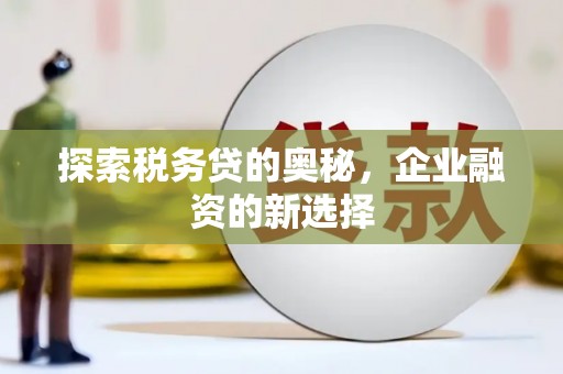 额济纳旗探索税务贷的奥秘，企业融资的新选择