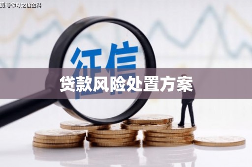 额济纳旗贷款风险处置方案