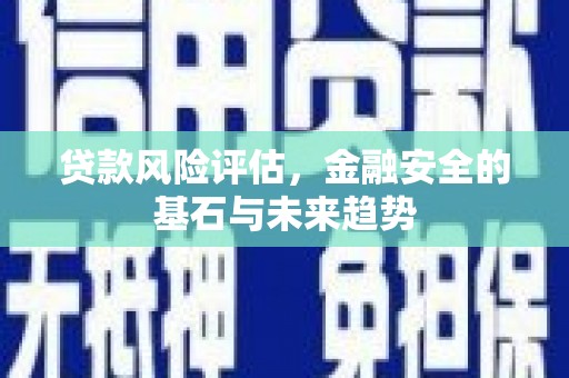 额济纳旗贷款风险评估，金融安全的基石与未来趋势