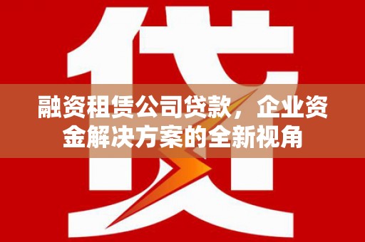 额济纳旗融资租赁公司贷款，企业资金解决方案的全新视角