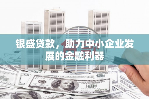 额济纳旗银盛贷款，助力中小企业发展的金融利器