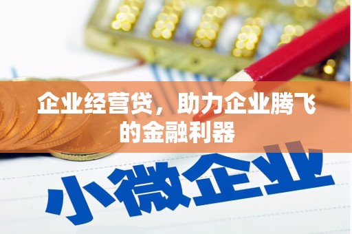 额济纳旗企业经营贷，助力企业腾飞的金融利器