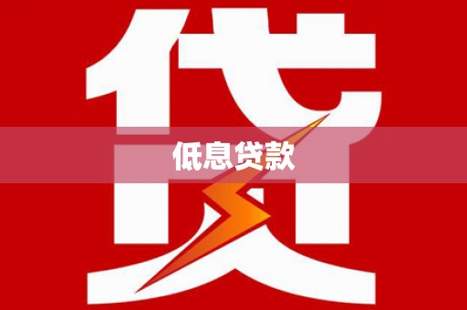 额济纳旗低息贷款