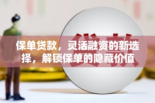 额济纳旗保单贷款，灵活融资的新选择，解锁保单的隐藏价值