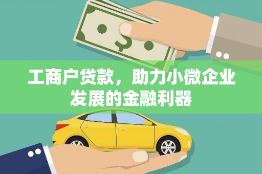 额济纳旗工商户贷款，助力小微企业发展的金融利器