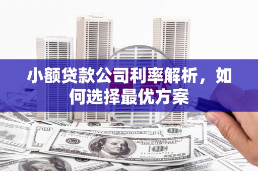额济纳旗小额贷款公司利率解析，如何选择最优方案