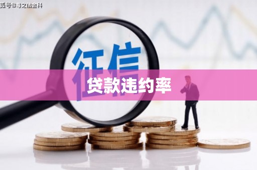 额济纳旗贷款违约率