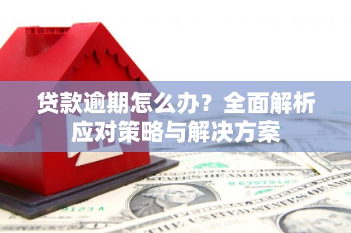 额济纳旗贷款逾期怎么办？全面解析应对策略与解决方案