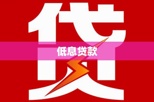 额济纳旗低息贷款