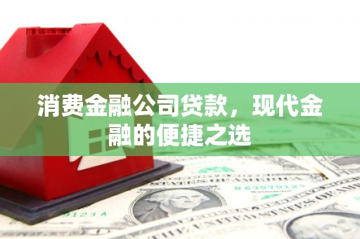 额济纳旗消费金融公司贷款，现代金融的便捷之选