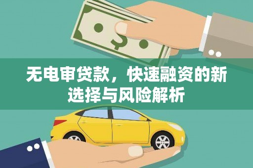 额济纳旗无电审贷款，快速融资的新选择与风险解析