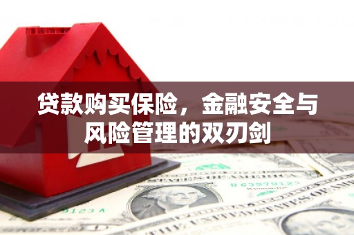 额济纳旗贷款购买保险，金融安全与风险管理的双刃剑