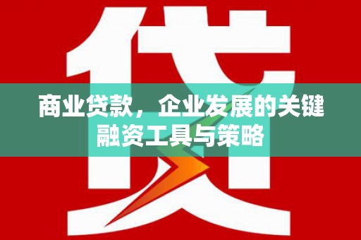 额济纳旗商业贷款，企业发展的关键融资工具与策略