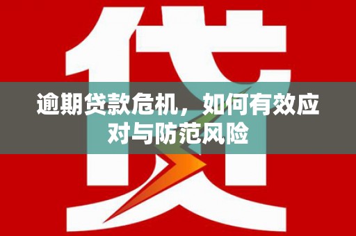 额济纳旗逾期贷款危机，如何有效应对与防范风险